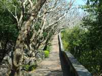 อุทยานประวัติศาสตร์พระนครคีรี(เขาวัง)