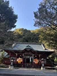 探訪熱海伊豆山神社：在歷史與自然中感受靈氣之旅