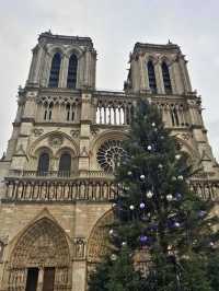 🇫🇷The Iconic Notre Dame Cathedral in Paris🇫🇷