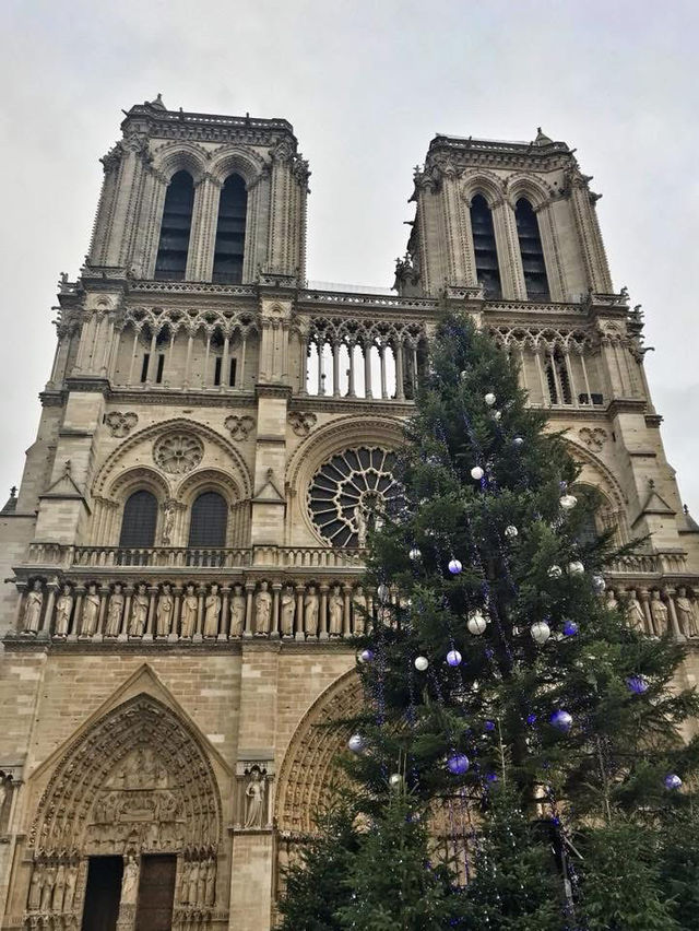 🇫🇷The Iconic Notre Dame Cathedral in Paris🇫🇷