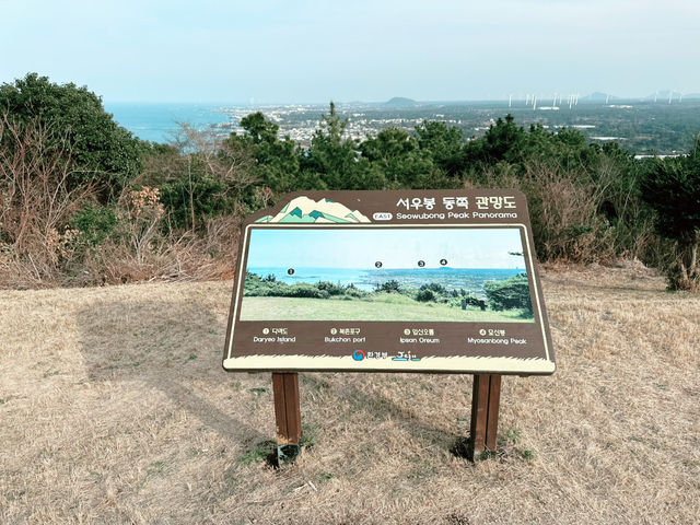 👍👍 이곳은 강력 추천!!