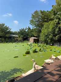 Dubua Cafe ดูบัวคาเฟ่