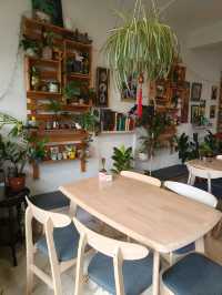 Finding Peace in a Hidden Green Cafe