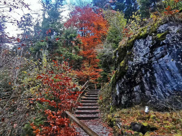 瑞士藍湖