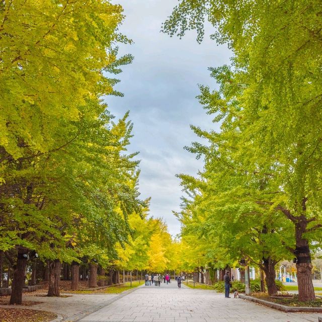 사계절마다 다른 분위기의 산책하기 좋은 나카지마 공원