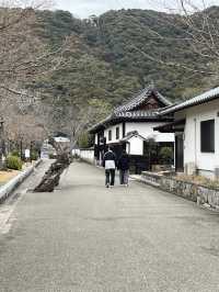 山口｜屹立逾350年 全木頭打造「不會倒的橋」岩國錦帶橋