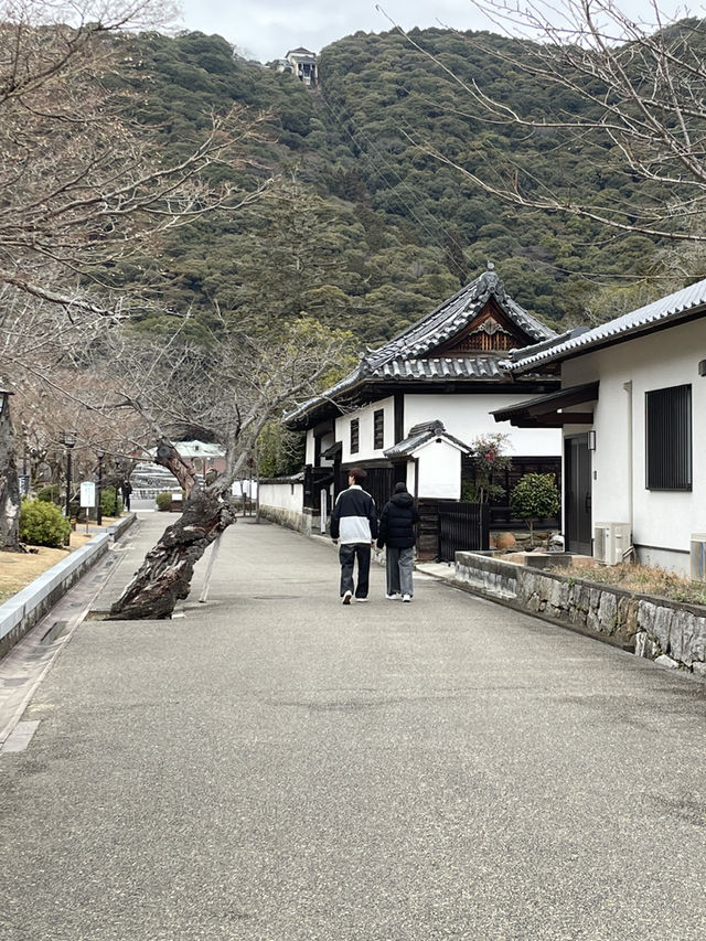 山口｜屹立逾350年 全木頭打造「不會倒的橋」岩國錦帶橋
