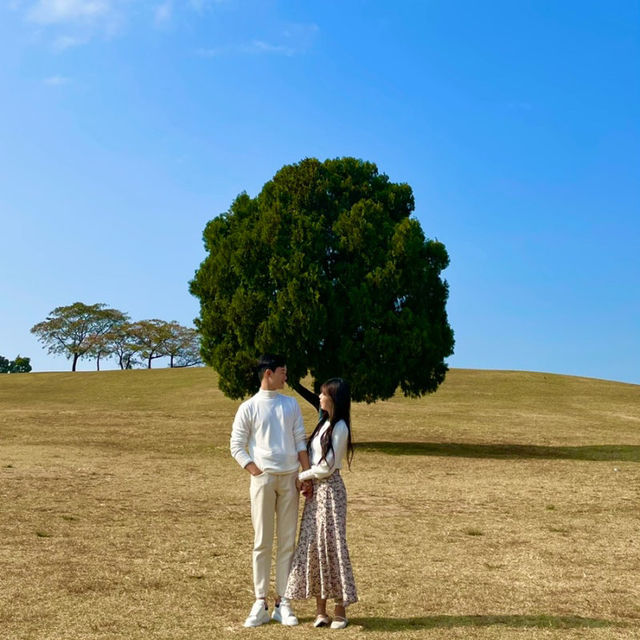 산책하기 좋은 서울공원 3곳 🌳