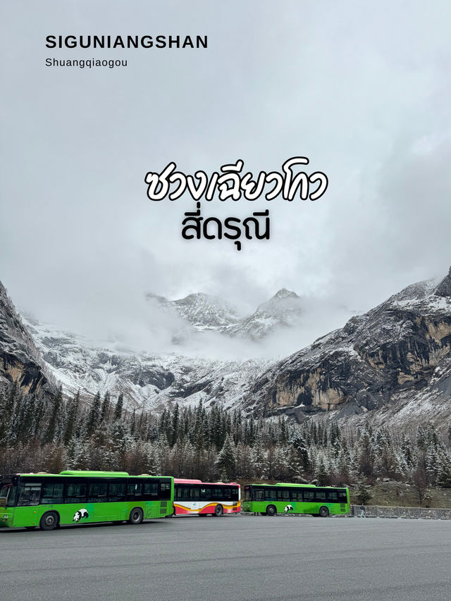เที่ยวภูเขาสี่ดรุณี•ซวงเฉียวโกว