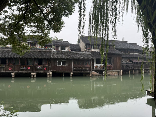 Drizzling Wuzhen at its upmost beauty