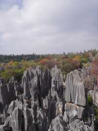 A Breathtaking Escape to Kunming’s Stone Forest – My Favorite Itinerary