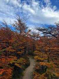 สัมผัสความสวยงามของเส้นทาง Patagonia 