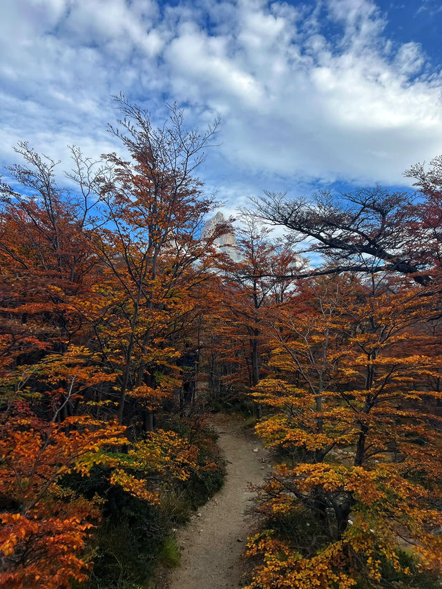 สัมผัสความสวยงามของเส้นทาง Patagonia 