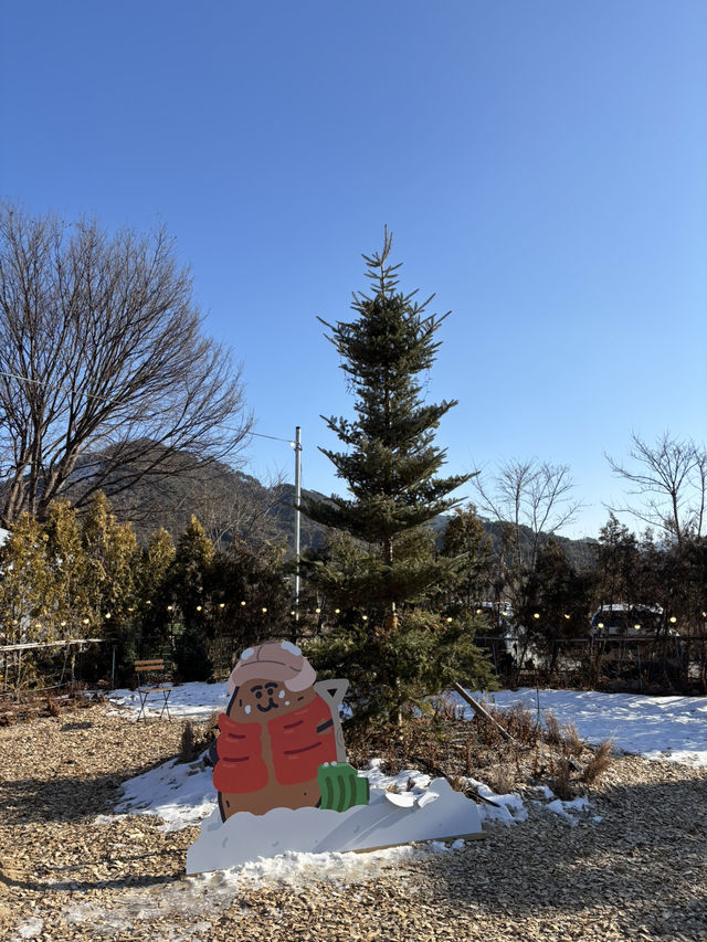 춘천에 가면 꼭 먹어야하는 감자빵 베이커리😇