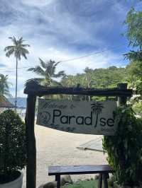 Paradise Beach - พาราไดซ์บีช ป่าตองภูเก็ต