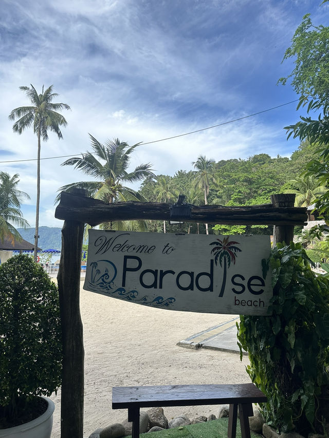 Paradise Beach - พาราไดซ์บีช ป่าตองภูเก็ต