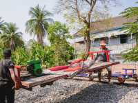 Bamboo train รถไฟไม้ไผ่ ที่พระตะบอง