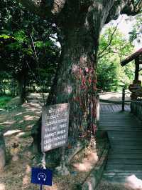 A Somber Reflection at Choeung Ek Genocidal Center
