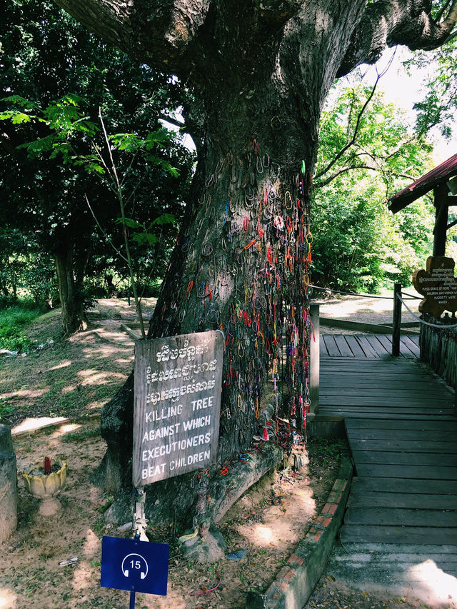A Somber Reflection at Choeung Ek Genocidal Center