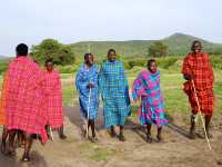 Unforgettable 3-Day Safari in Maasai Mara🦁