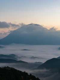 【大分県/由布市】見れる時期は数ヶ月！幻の雲海！？