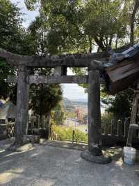 【熊本観光】切り絵の御朱印が可愛い🐇見晴らしのいい神社⛩