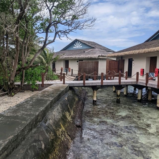 Excellent resort