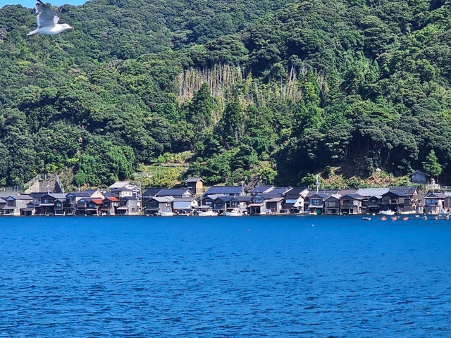 伊根灣的療癒小旅行