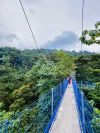“Forest Skywalk Kepong: Walk Among the Treetops with Breathtaking Views”