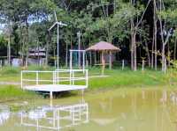 ชาหัวล้าน