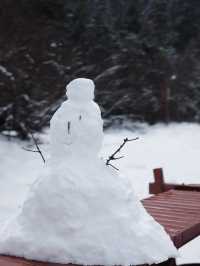 心中的日月：香格里拉普達措彷彿雪國