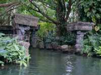 🚣‍♂️🌿 Jungle River Cruise