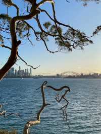 Sydney Harbour National Park Gap Bluff
