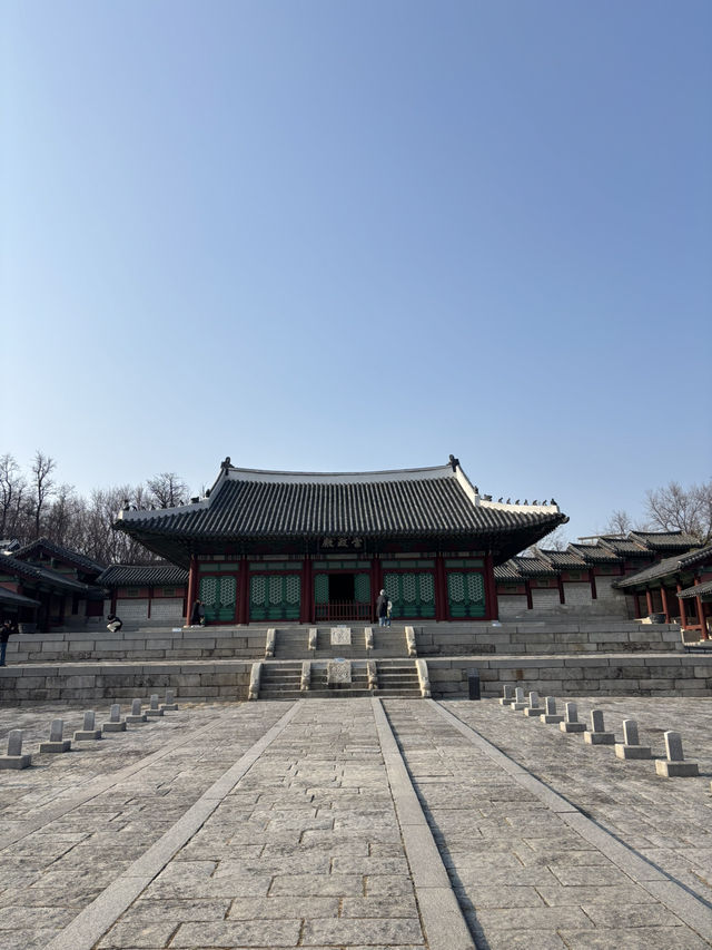 조선왕실 구경하는 서울 경희궁 나들이😍