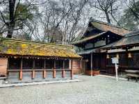 【京都】鏡絵馬で美人祈願！身も心も美しくれるパワースポット