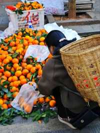 Kunming: The Vibrant Spring City of Yunnan