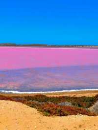 The Pinnacles and Pink Lake: Western Australia’s Natural Wonders