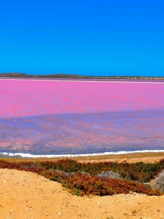 The Pinnacles and Pink Lake: Western Australia’s Natural Wonders