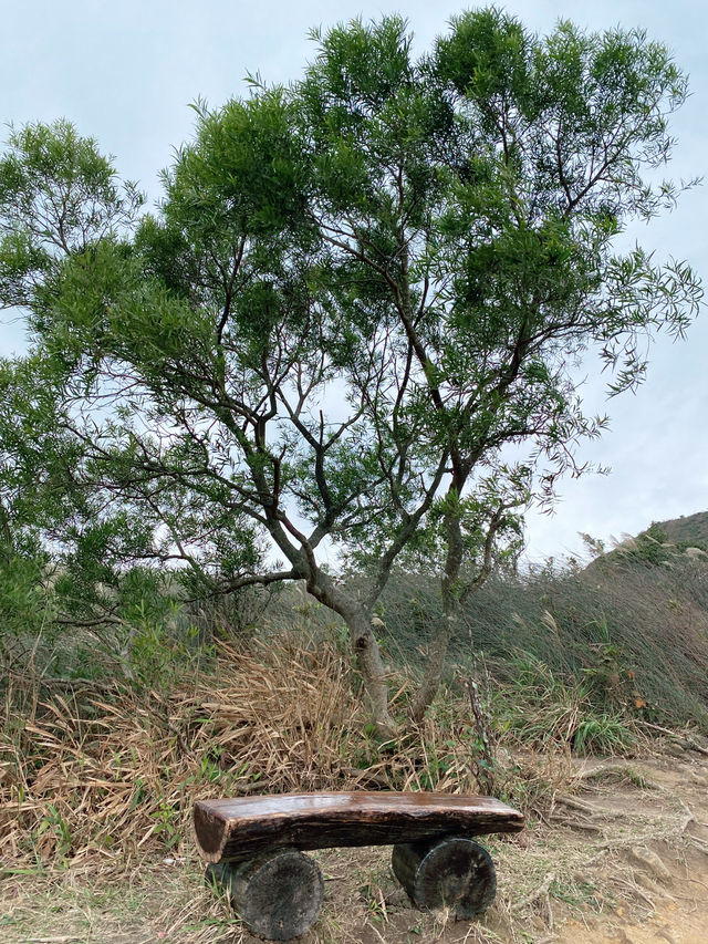 彎曲山⛰️，一覽西貢全景的麥理浩徑四段路線