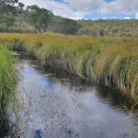 Barrington Tops National Park