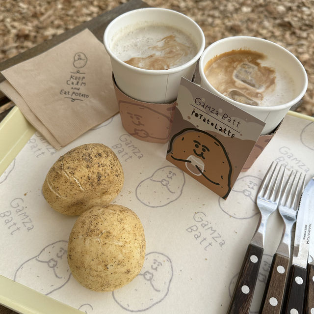 【春川】🇰🇷 ジャガイモ畑
