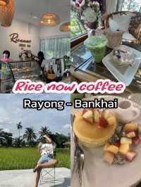 มัดรวมคาเฟ่ ในระยอง