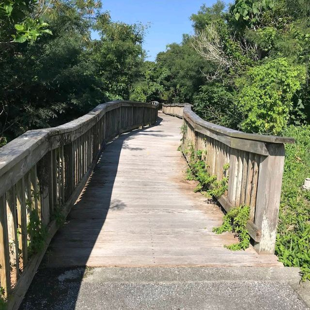 Okinawa Comprehensive Athletic Park