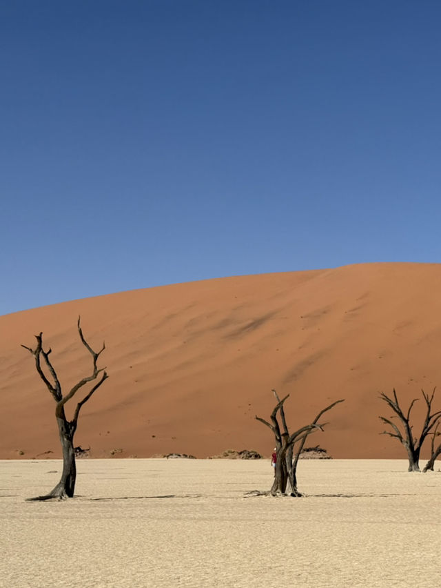 비현실적 엽서 풍경🏜️ 나미비아 데드블레이