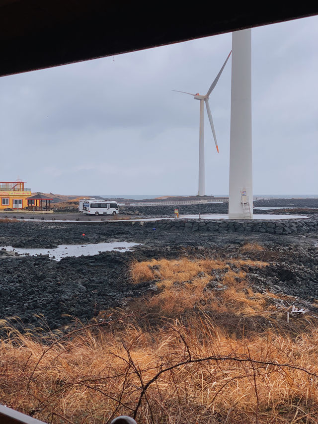 제주 가족여행 2박3일 꽉 채우기