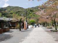 อาราชิยาม่า 