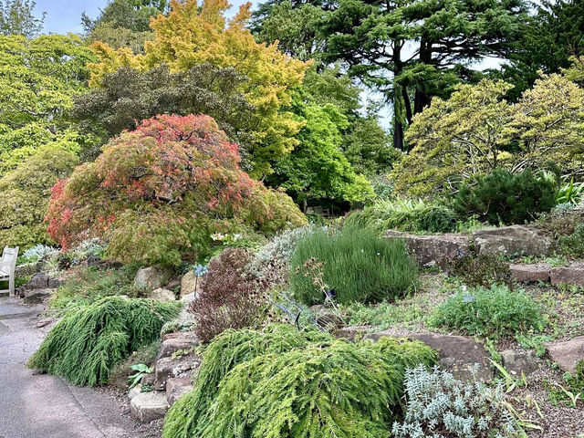 A World of Wonder - Birmingham Botanical Gardens