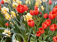 Yvoire, France – A Springtime Fairytale