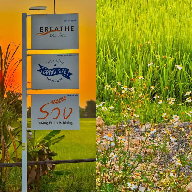 ที่พักกลางทุ่งนา #เชียงใหม่ ฟีลโคตรดี 🏠🛁🌾