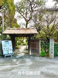 熊本・女子ひとり旅